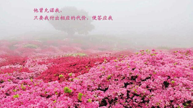 Dream.order�����٣���������������Ϸ