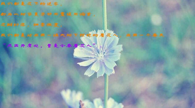 Nostalgia��Ӱ��Ϸ