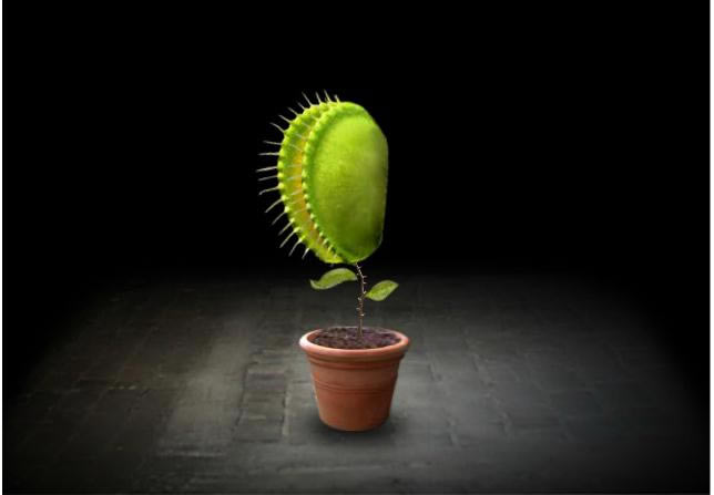 һ��������Ϸ��վ