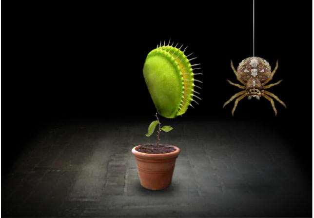 һ��������Ϸ��վ