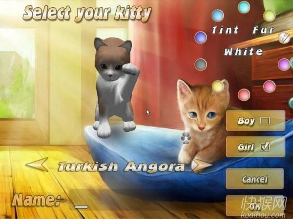 101Сè������Ϸ