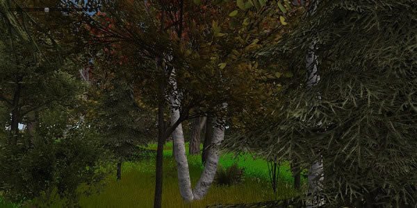 ��ľģ��2013��ľ��ɭ��Ϸ��վ