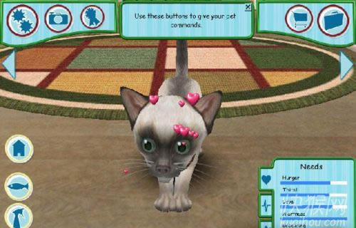 ����è2006��Ϸ��վ