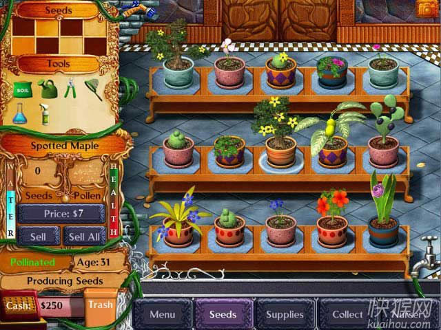 ���������Ϸ