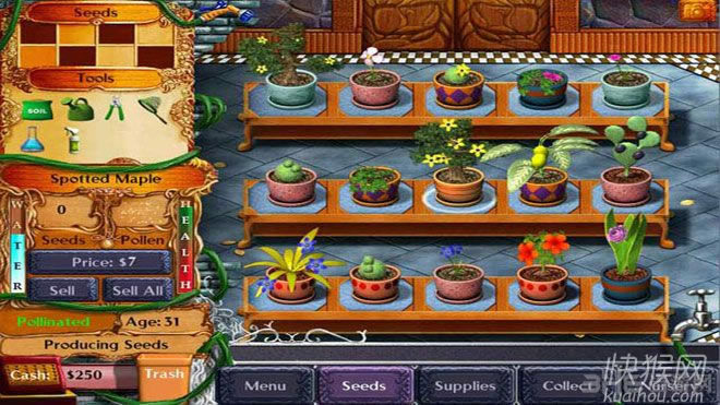 ���������Ϸ��վ