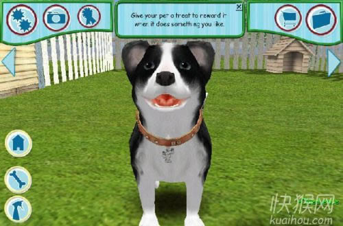 ���ﹷ2006��Ϸ��վ