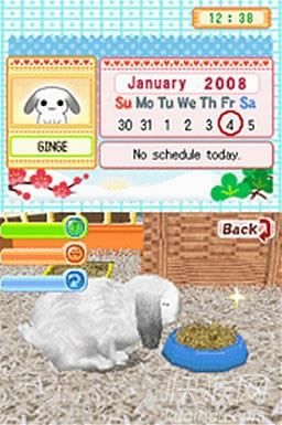 ��������Ϸ