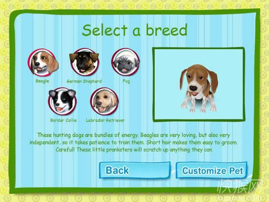 ģ����ﹷ6��Ϸ