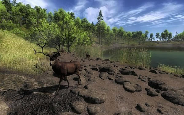 猎人2012下载|猎人2012游戏