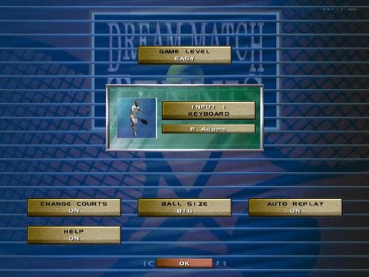 梦想网球游戏本站