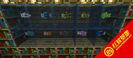 �ҵ����罢��collection������|�ҵ����罢��collection����Ϸ