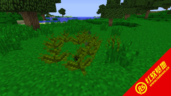 �ҵ�����1.5.1��Ȼ֮�����ϰ�����|�ҵ�����1.5.1��Ȼ֮�����ϰ���Ϸ