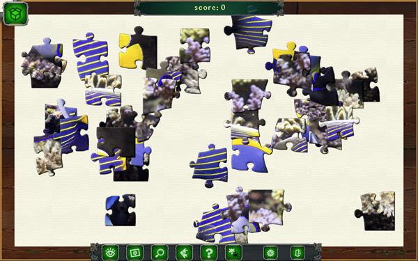 加勒比拼图游戏本站