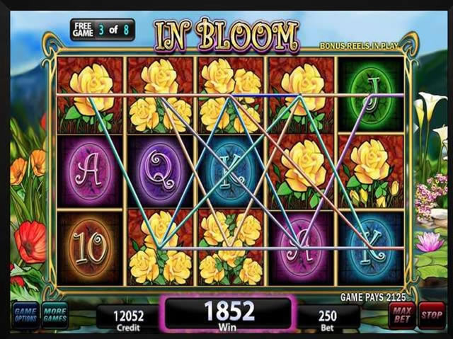 IGT��Ϸ�������Ŵ����籩��Ϸ��վ