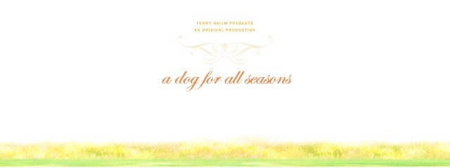 �ļ�С����Ϸ