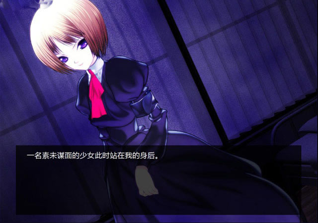 吸血歼鬼:维德戈尼亚游戏本站