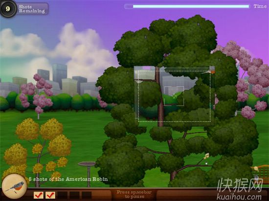 鸟类摄影师之鸟岛的秘密游戏本站