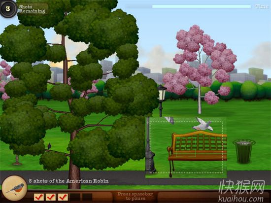 鸟类摄影师之鸟岛的秘密游戏本站