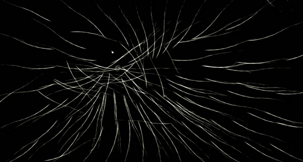 ����֮����Ϸ��վ