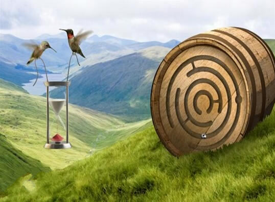 ���ּ�¼(Record Tripping)��Ϸ��վ