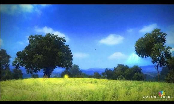 ��Ȼ���ã�ɫ�ʵ�����ػ���Ϸ��վ