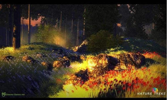 ��Ȼ���ã�ɫ�ʵ�����ػ���Ϸ