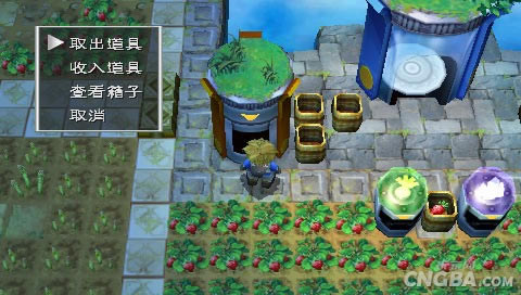 新牧场物语:无暇人生电脑PC版游戏本站