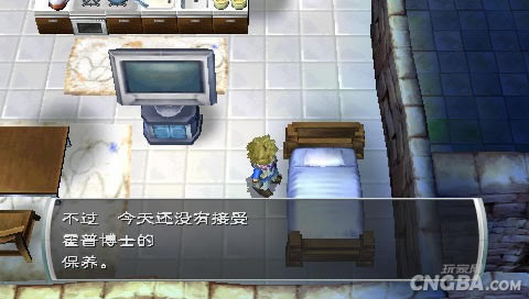 新牧场物语:无暇人生电脑PC版游戏本站