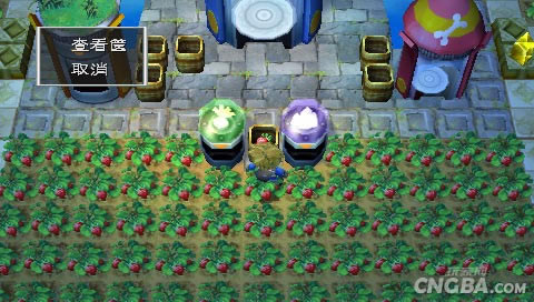 新牧场物语:无暇人生电脑PC版游戏本站