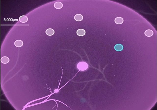 ��ͻ(Axon)��Ϸ��վ