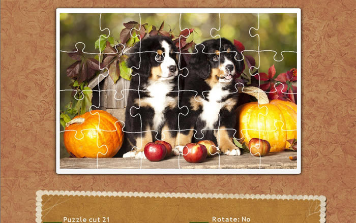 ����ƴͼ���ж�����Ϸ��վ