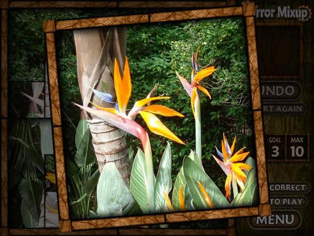 混乱魔镜游戏本站