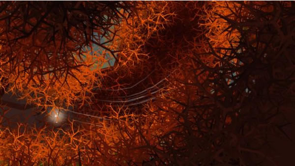 ���῵֮����Ϸ��վ