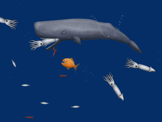 ��ζ��������Ϸ