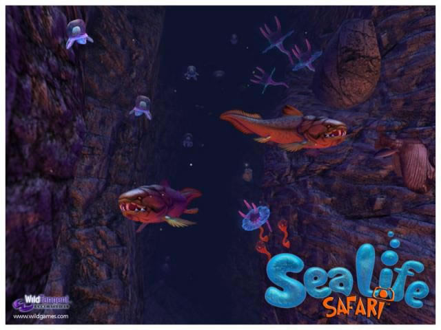 �̽����Ϸ