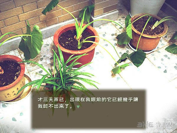 ��ج��Ϸ��վ