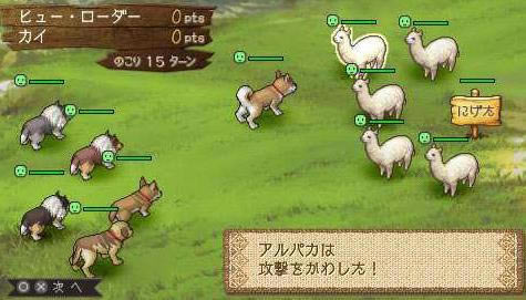 欢迎来到绵羊村