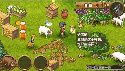 欢迎来到绵羊村