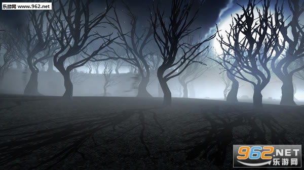 Fading Visage��Ϸ����-��ή��ò(Fading Visage)����PC��